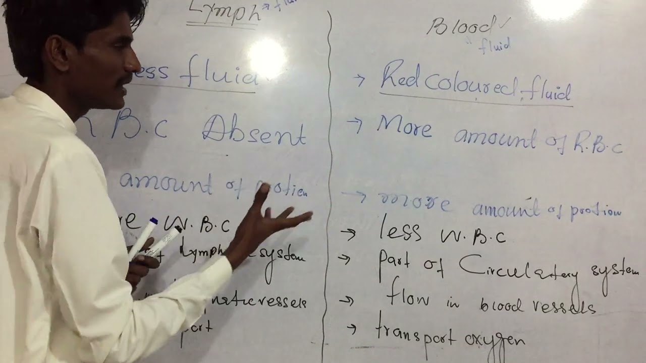 The most important lecture is the difference between lymph and blood for class 9th and 11th 