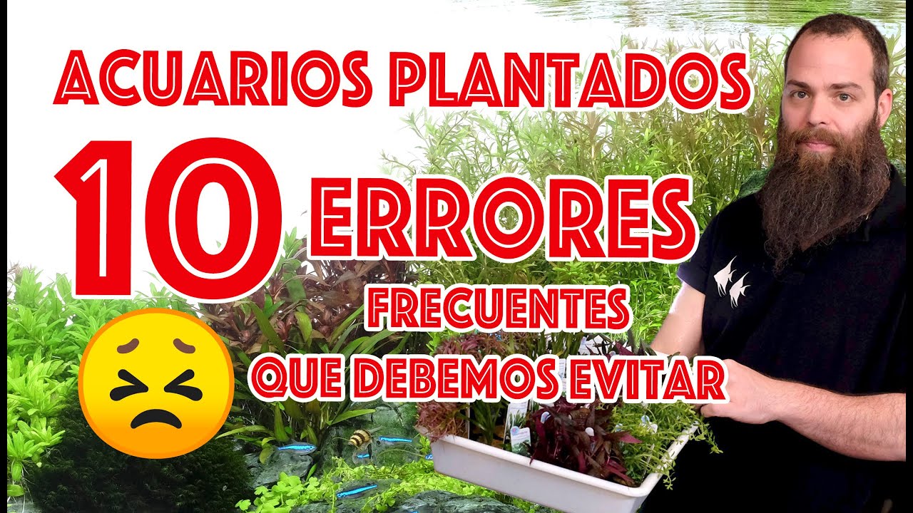 Acuarios plantados: 10 errores muy frecuentes que debemos evitar