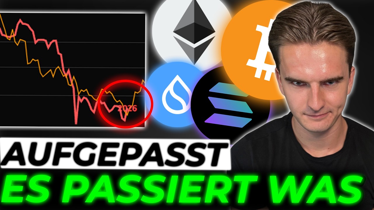 Krypto: Diskussion über wahrscheinliche Rallye