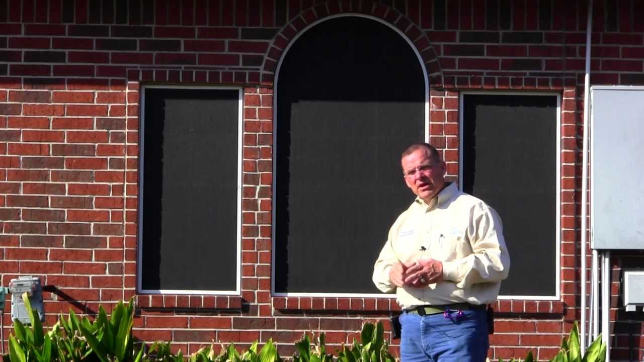 Regular Pest Control Inside the Home (Part 2 of 2)
