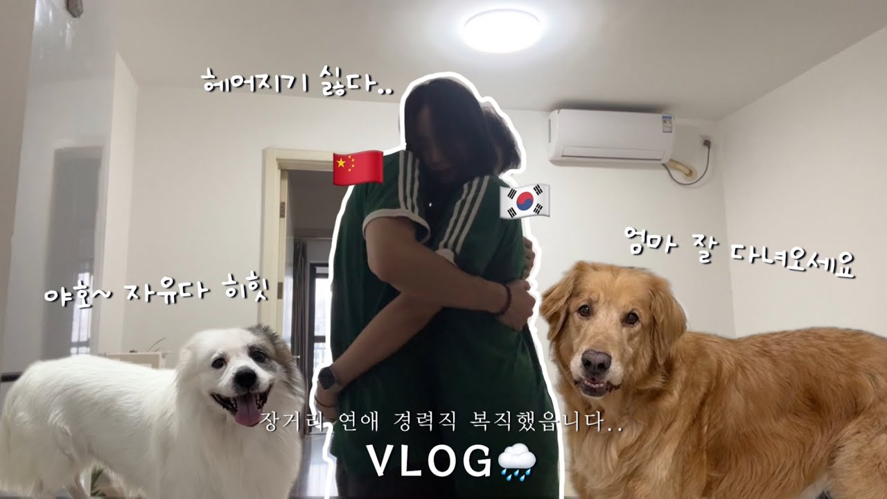 동갑 한중커플 🇨🇳 잠시 이별.. 장거리 연애 경력직 복직 Vlog | 헤어질 때 아직도 우는 7년차 커플 💦