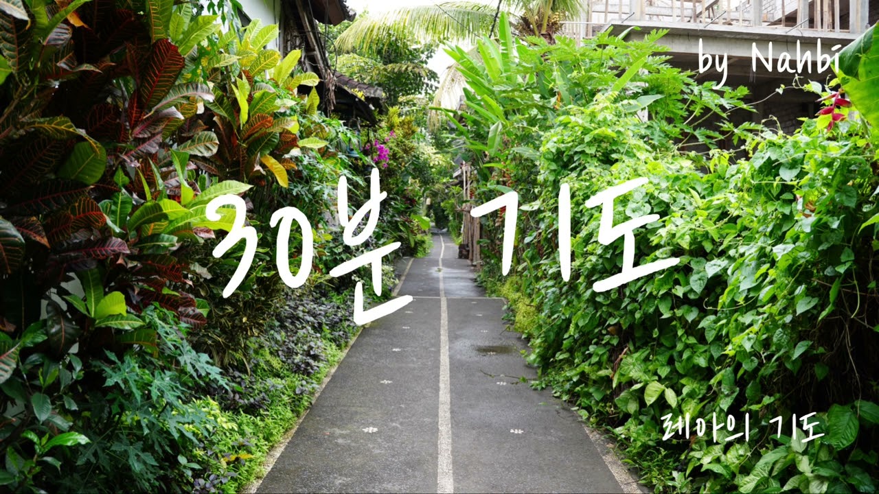 30분 기도 │ 30분 찬양 │ ccm 피아노 연주