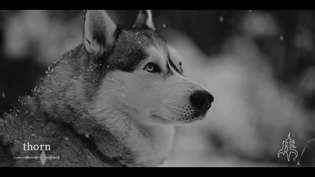 ABYSS ECHOES - THORN (visual+lyrics)