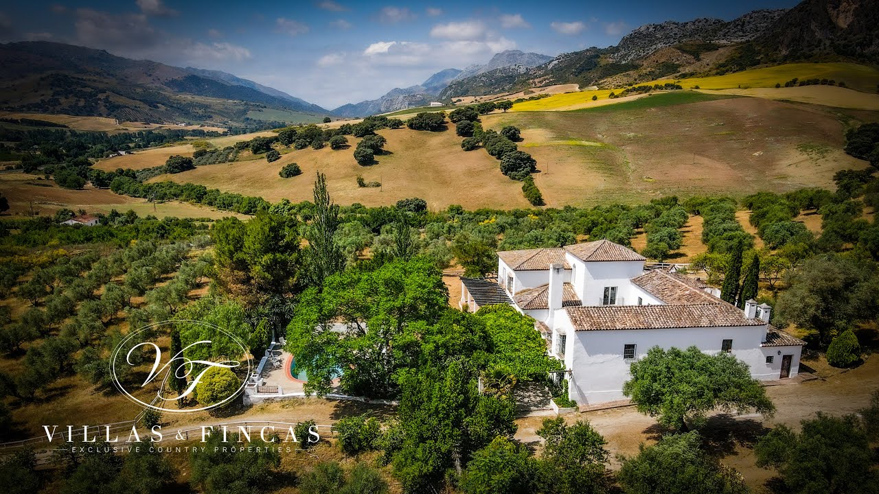 Authentic cortijo with olive grove SOLD in Ronda, Andalusia, Southern Spain