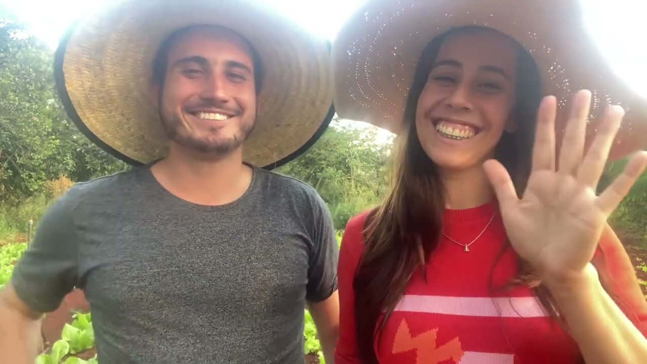COMO IRRIGAR A HORTA? | Respondendo d&uacute;vidas