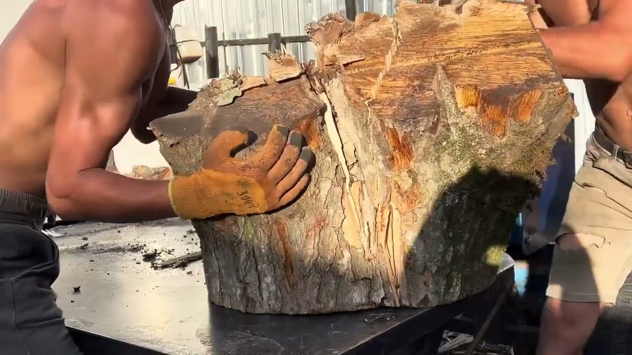 Extreme Firewood Work That Feels Calm