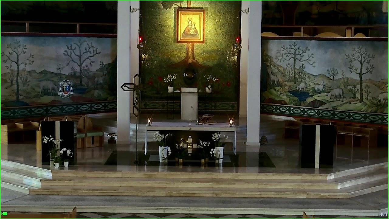 VI Niedziela Zwykła