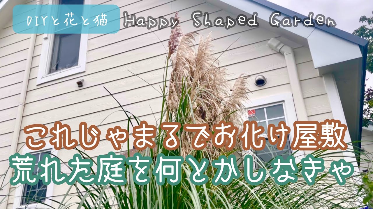 【園芸・ガーデニング】これじゃまるでお化け屋敷w荒れたお庭をなんとかしなきゃ！伸び伸びパンパスグラス・時期ハズレのアジサイ剪定・セイジ宿根草の冬越し・バラの冬剪定・花壇の整理・お庭の冬支度・田舎暮らし