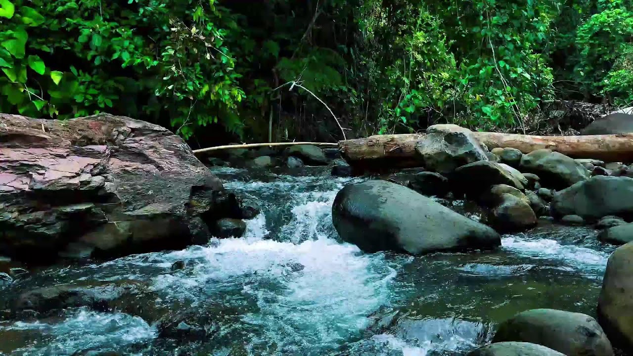 Rushing Jungle River Over Stones – Nature Sounds for Deep Sleep, Focus & Stress Relief