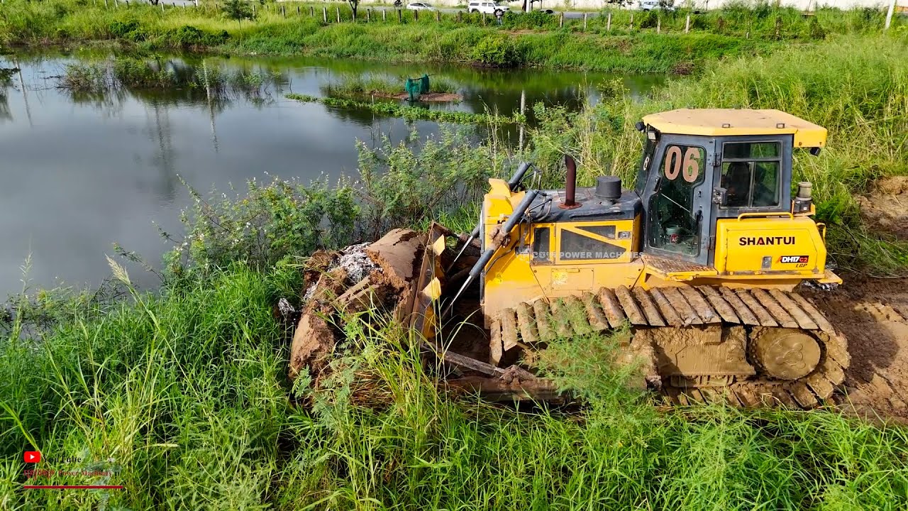 Excellent Action Mighty Shantui Huge Dozer Skills Clear and Push Making Road Goto Landfilling