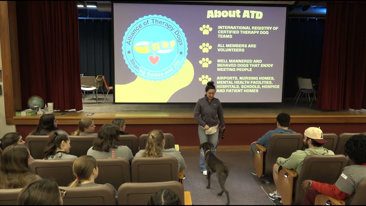 Therapy Dogs and the ATD | Cami Tedoldi