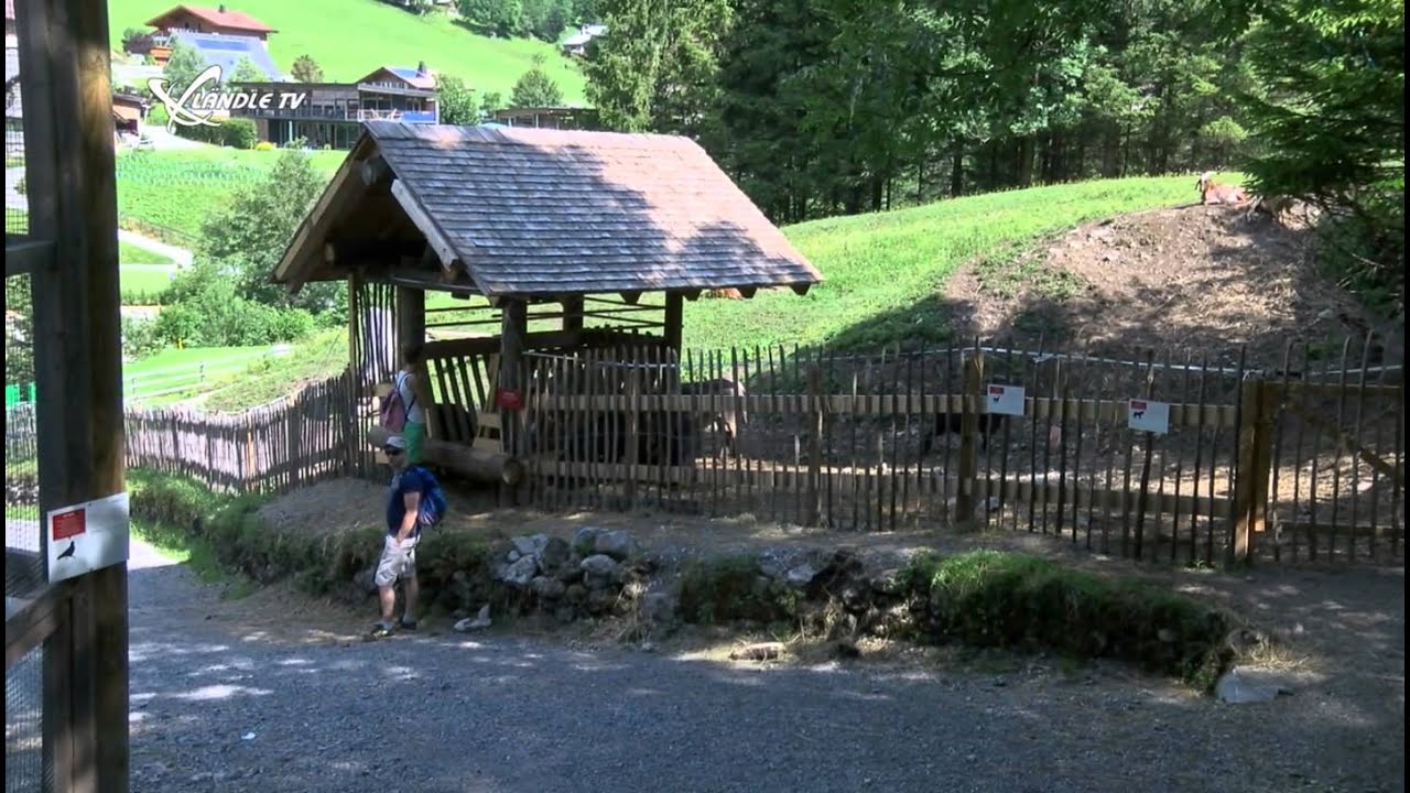 Brandnertal Sommerreportage Teil 2