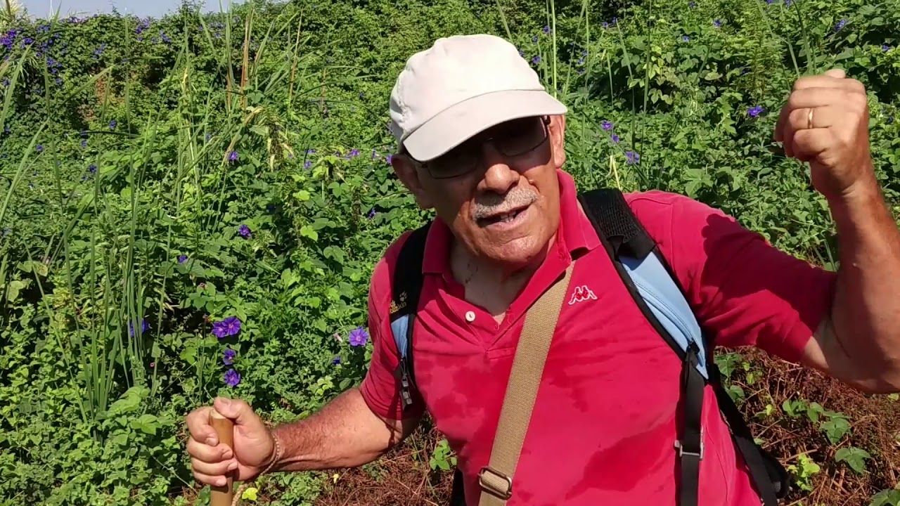 Timpa Leucatia - Intervista prof. Sperlinga
