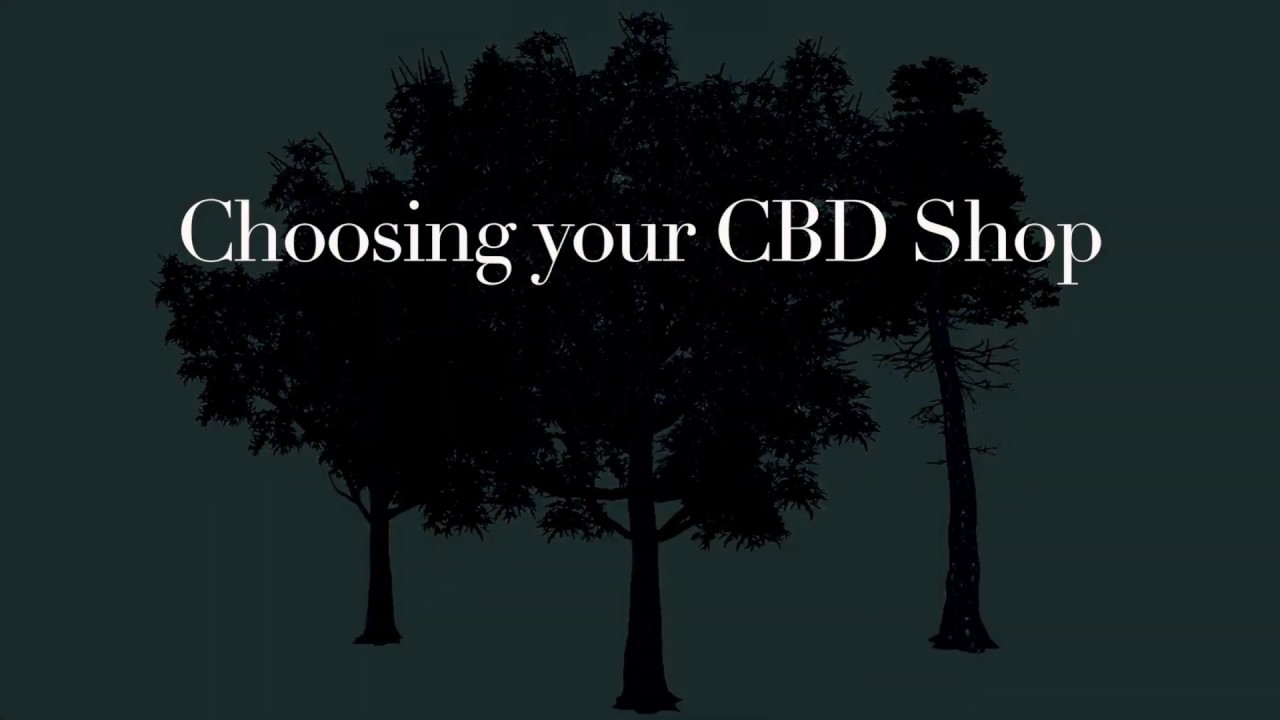 The Treehouse Remedy: Which CBD Shop is right for you!