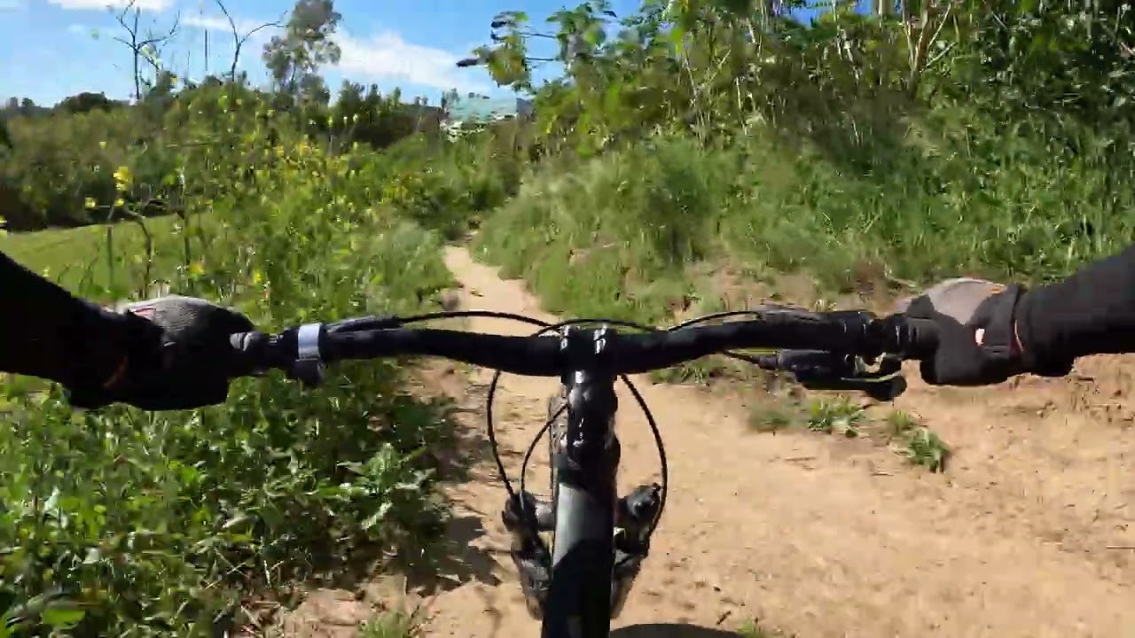 Ozark Trail FS.2 Slalom singletrack