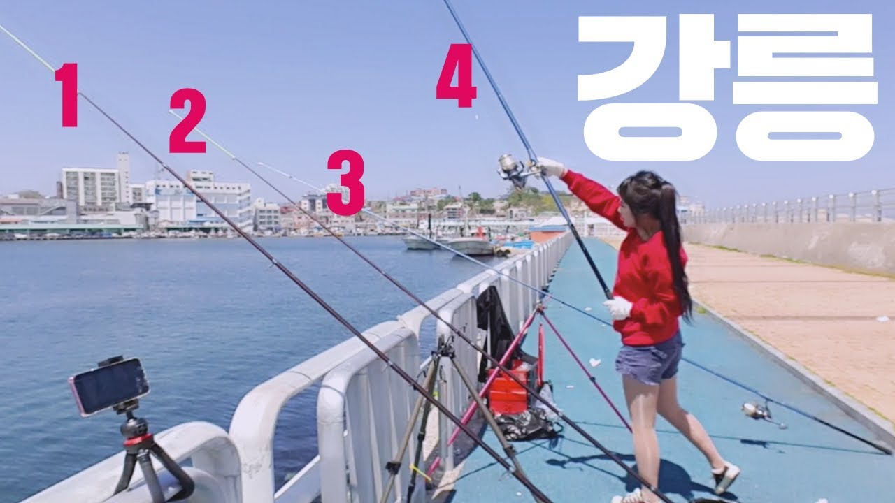 강원도강릉 주문진항 원투 바다낚시 군소?!