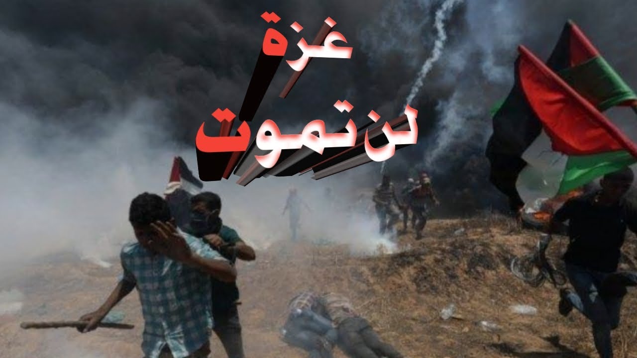 فصيح الحجاز علي القرني غزة لن تموت✌️