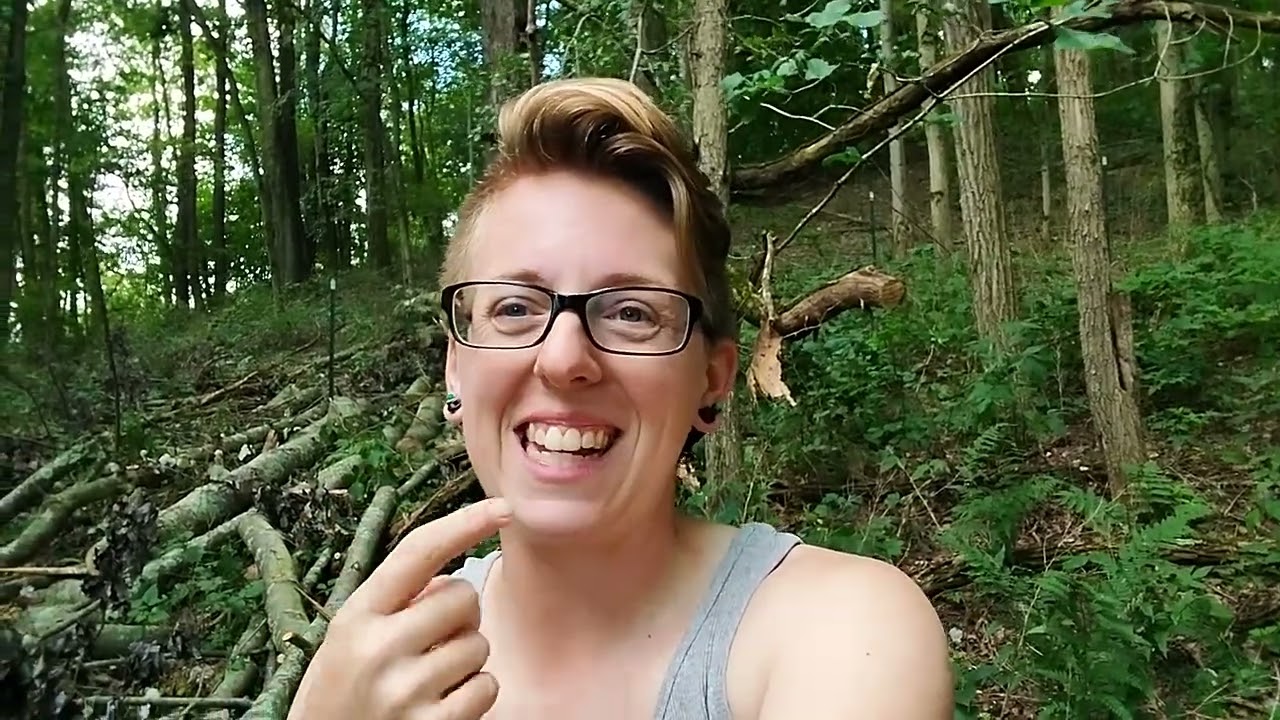 How To Make Tree Hay | Free Livestock Feed