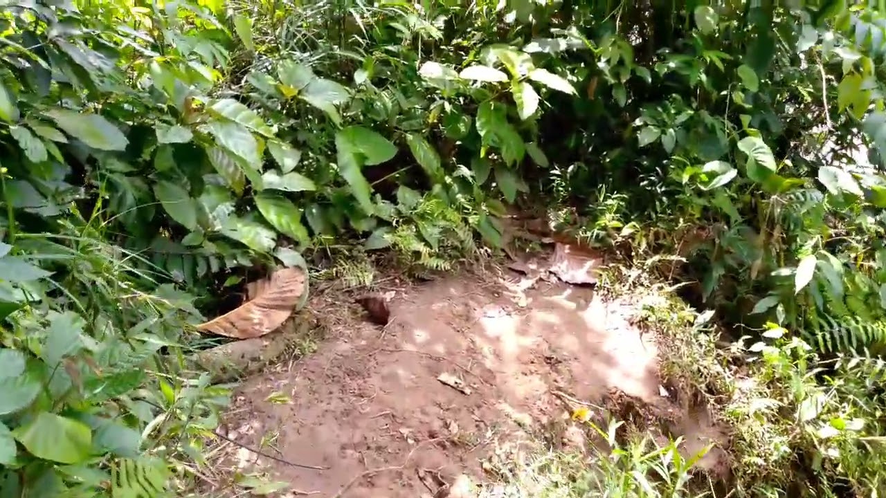 SITIO NG MANOBO UMAYAMNON MAY NAPAKAGANDANG ILOG