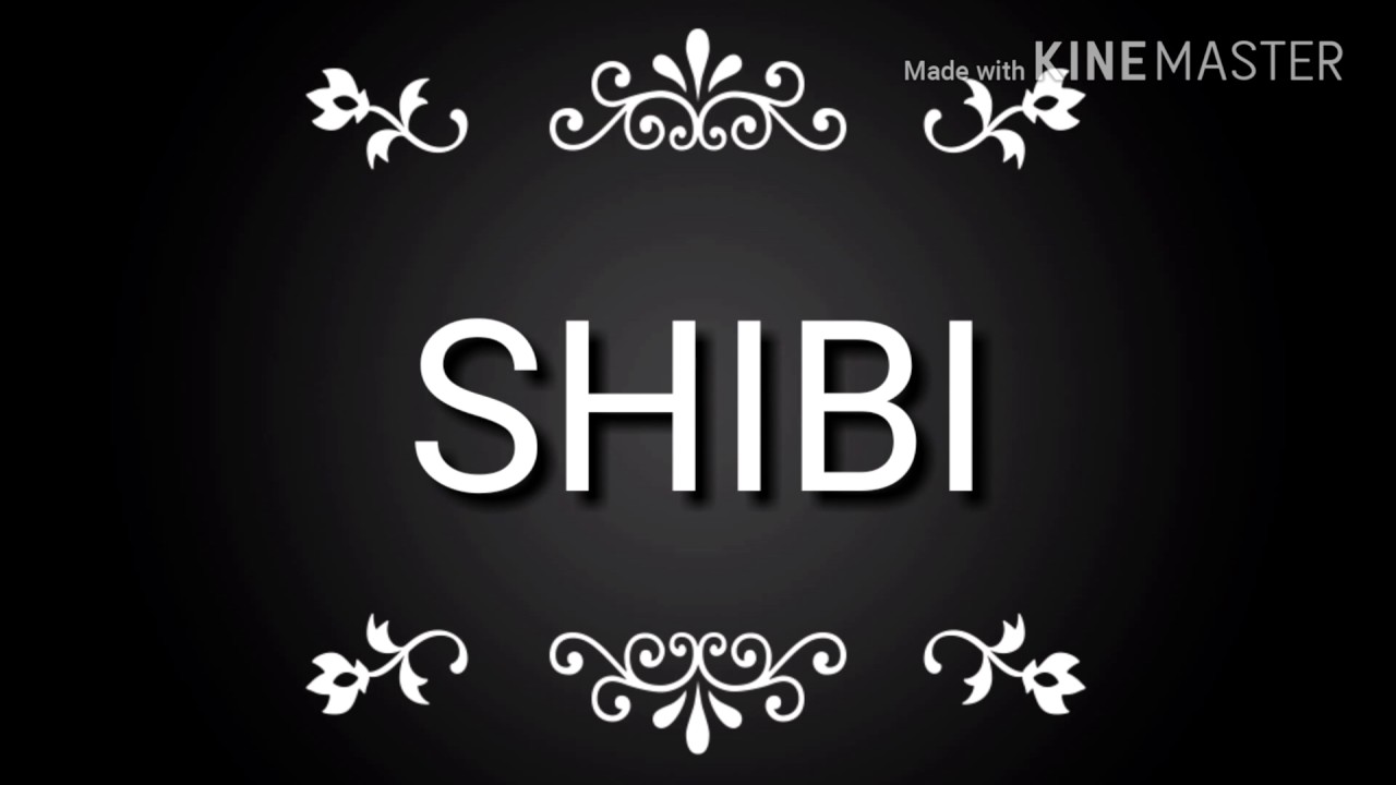 SHIBI La moula