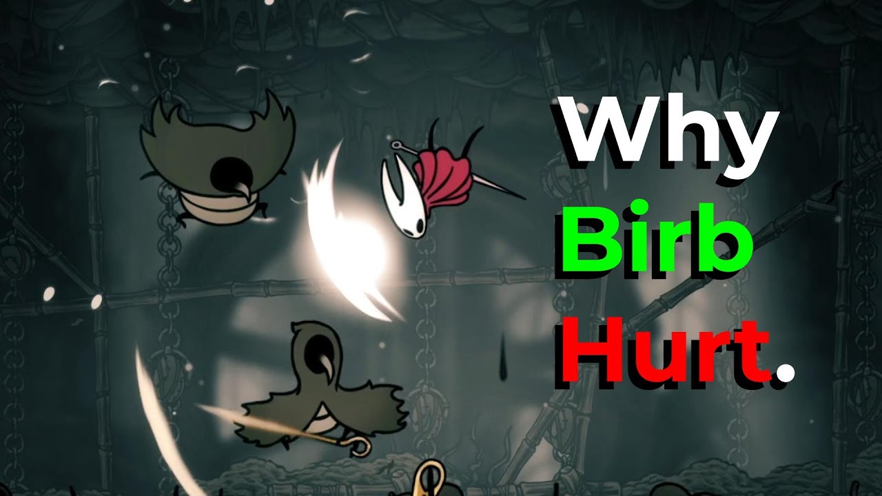 I Had Fun When Silksong Birds Beat Me Up.