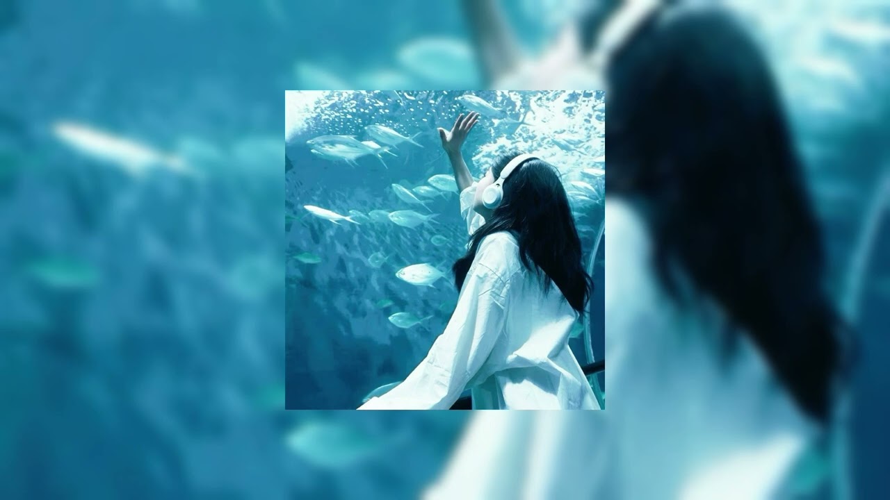 きくお - 𝚜𝚎𝚊𝚏𝚘𝚘𝚍 (𝚜𝚕𝚘𝚠𝚎𝚍 + 𝚛𝚎𝚟𝚎𝚛𝚋)