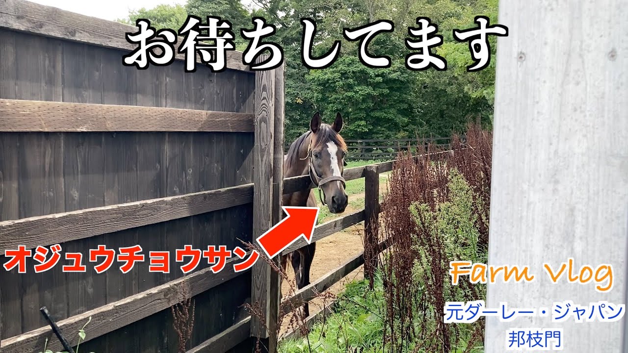 【オジュウチョウサン】お待ちしてます！？55選