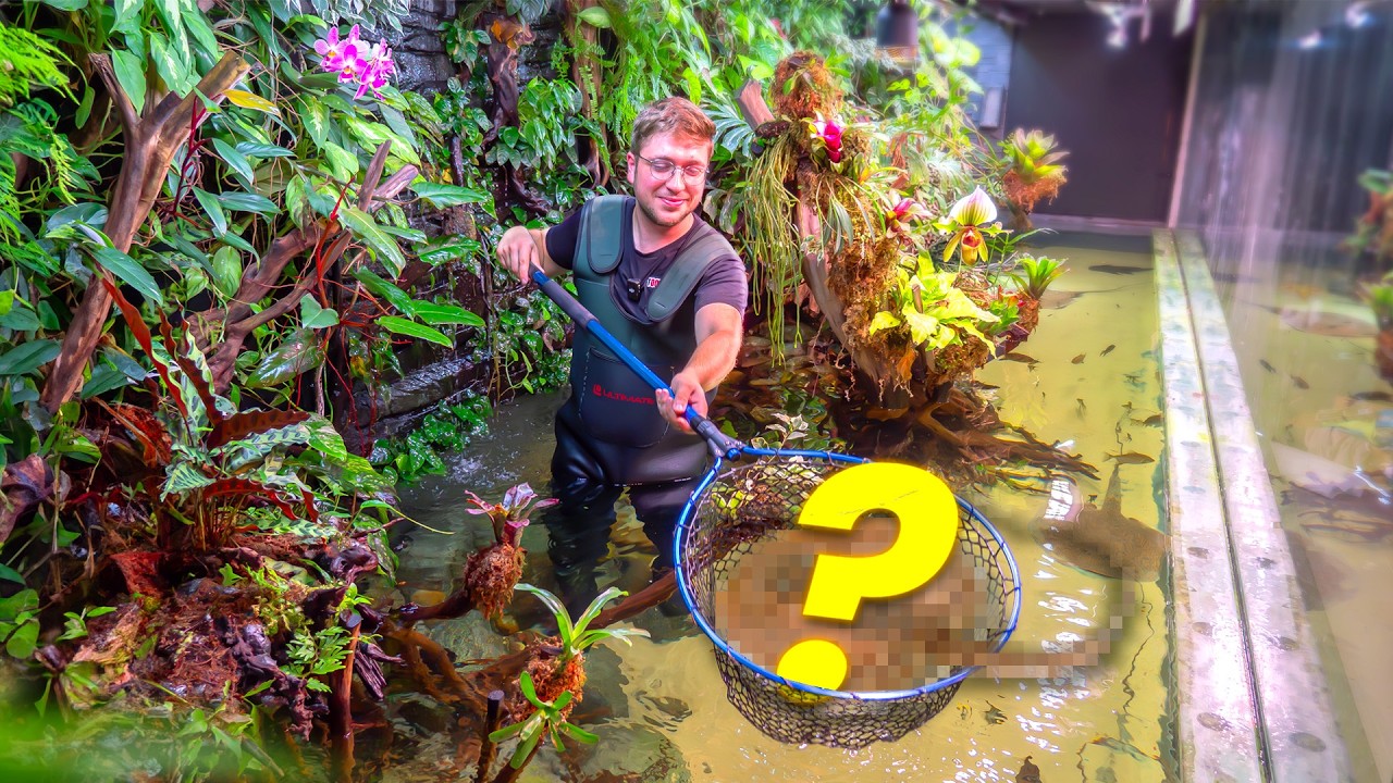 J'ai mis les RAIES de mes RÊVES dans L'AQUARIUM de 14000L (+100 nouveaux poissons)