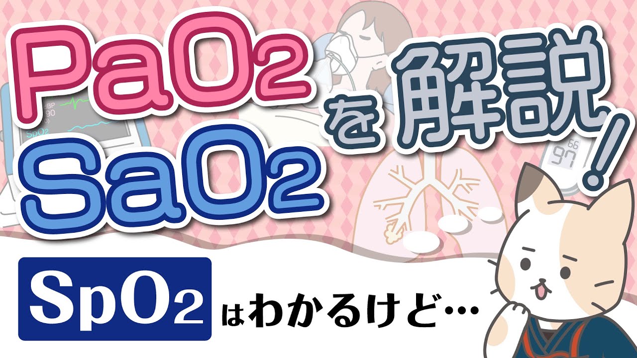 【血ガス】PaO2、SaO2、SpO2を解説！酸素分圧、酸素飽和度について