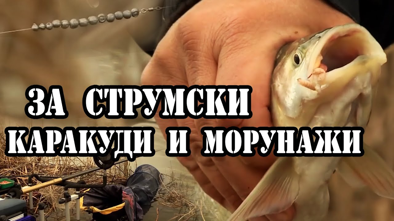За Струмски КАРАКУДИ И МОРУНАЖИ