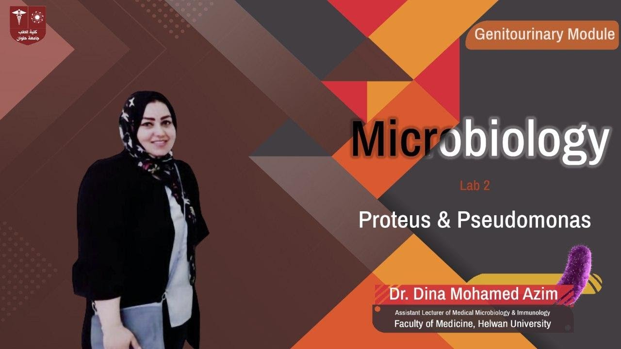 2.Proteus & Pseudomonas