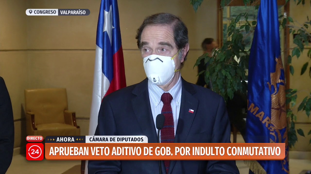 Aprueban veto aditivo  de ley de indulto conmutativo | 24 Horas TVN Chile