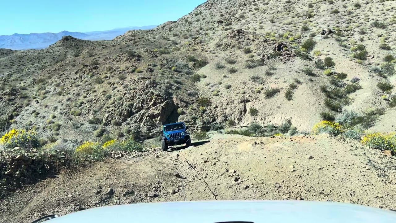 February 21, 2026