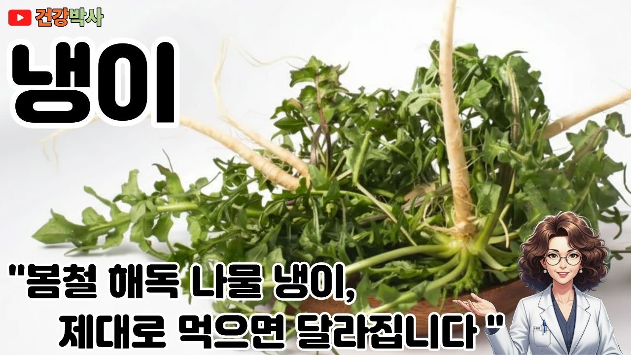 봄철 해독 나물 냉이, 제대로 먹으면 달라집니다 #냉이 #냉이효능 #봄나물
