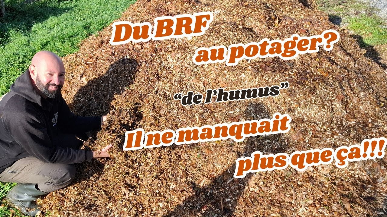 Du BRF pour finir !!! (humus, richesse au potager)