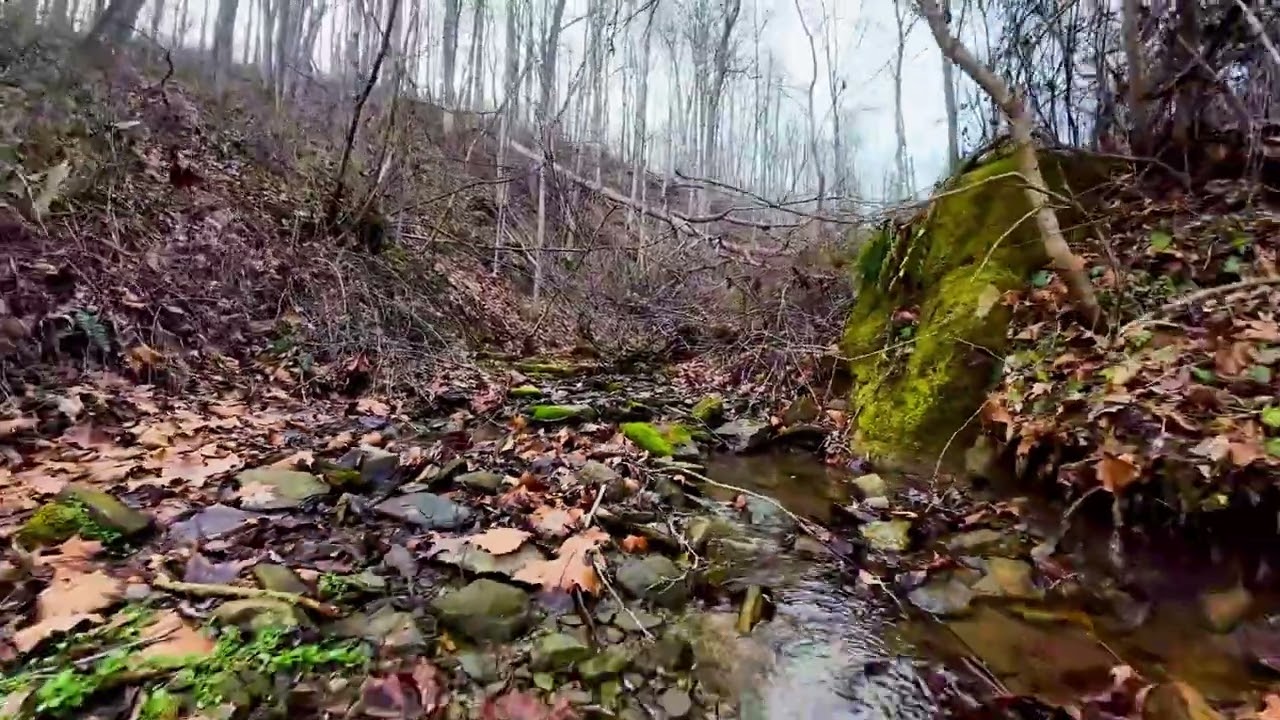 49 Acres Ohio Hunting Land | Zion Ridge Rd Tract 19 | Wayne National Forest Border