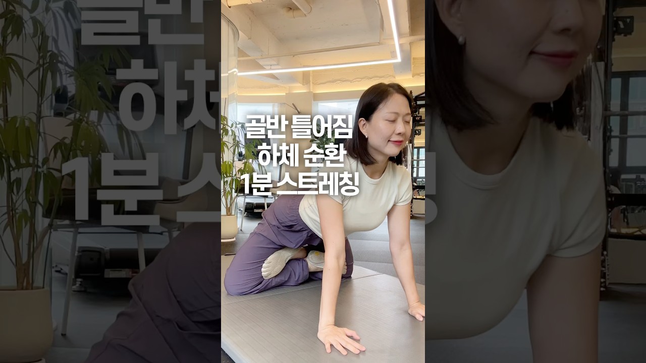 골반 틀어짐 하체 순환 1분 스트레칭 #압구정피티 #압구정pt #압구정체형교정 #피티원압구정 #신사피티 #압구정로데오피티 #압구정로데오pt #골반교정