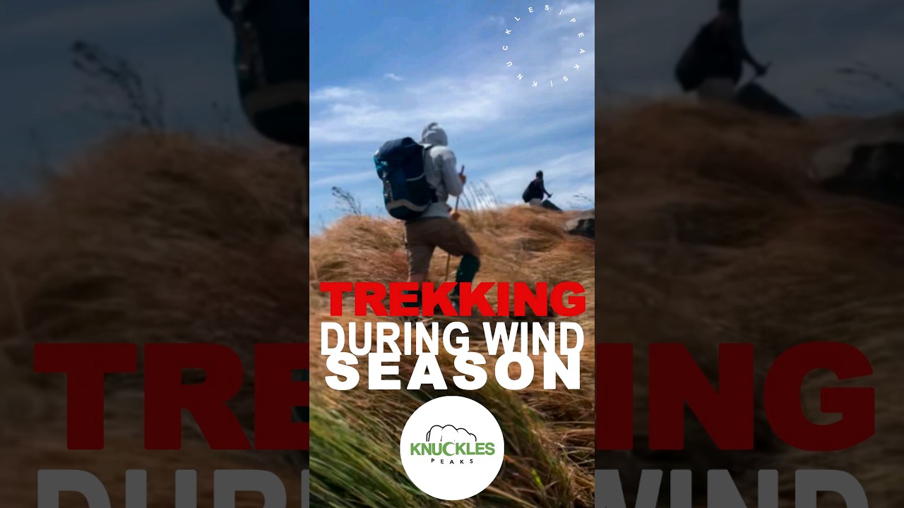 Knuckles Mountain Range Sri Lanka | Trekking During Windy Season 😲  #srilanka #shorts