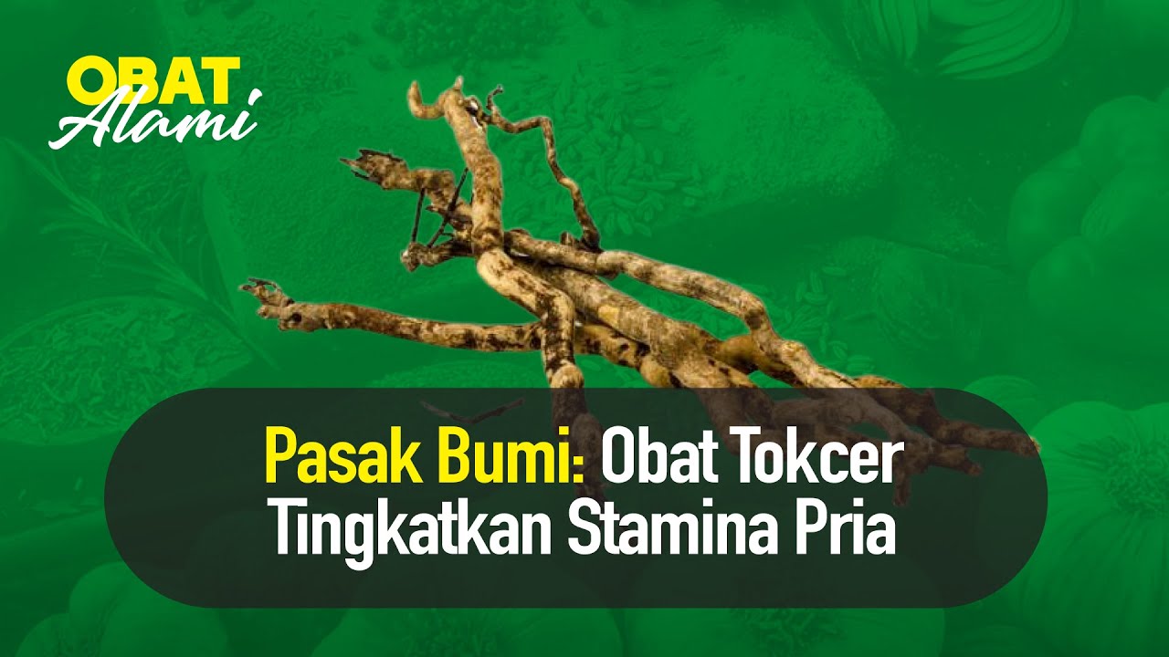 Manfaat Konsumsi Pasak Bumi Bagi Kebugaran Pria | Hidup Sehat tvOne
