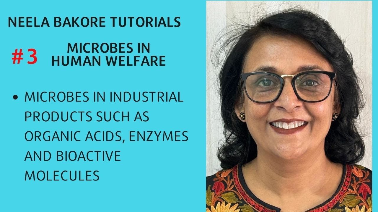Microbes in Human Welfare | Microbes in Industrial products: Organic acids, Enzymes & Bioactive mol
