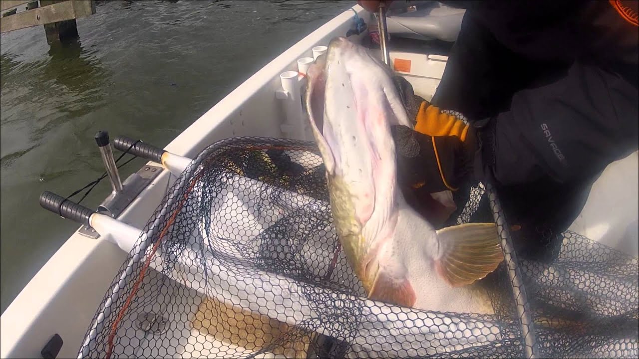Savage Gear 3D trout Rattle Shad 120cm big pike Hengelsport 2000