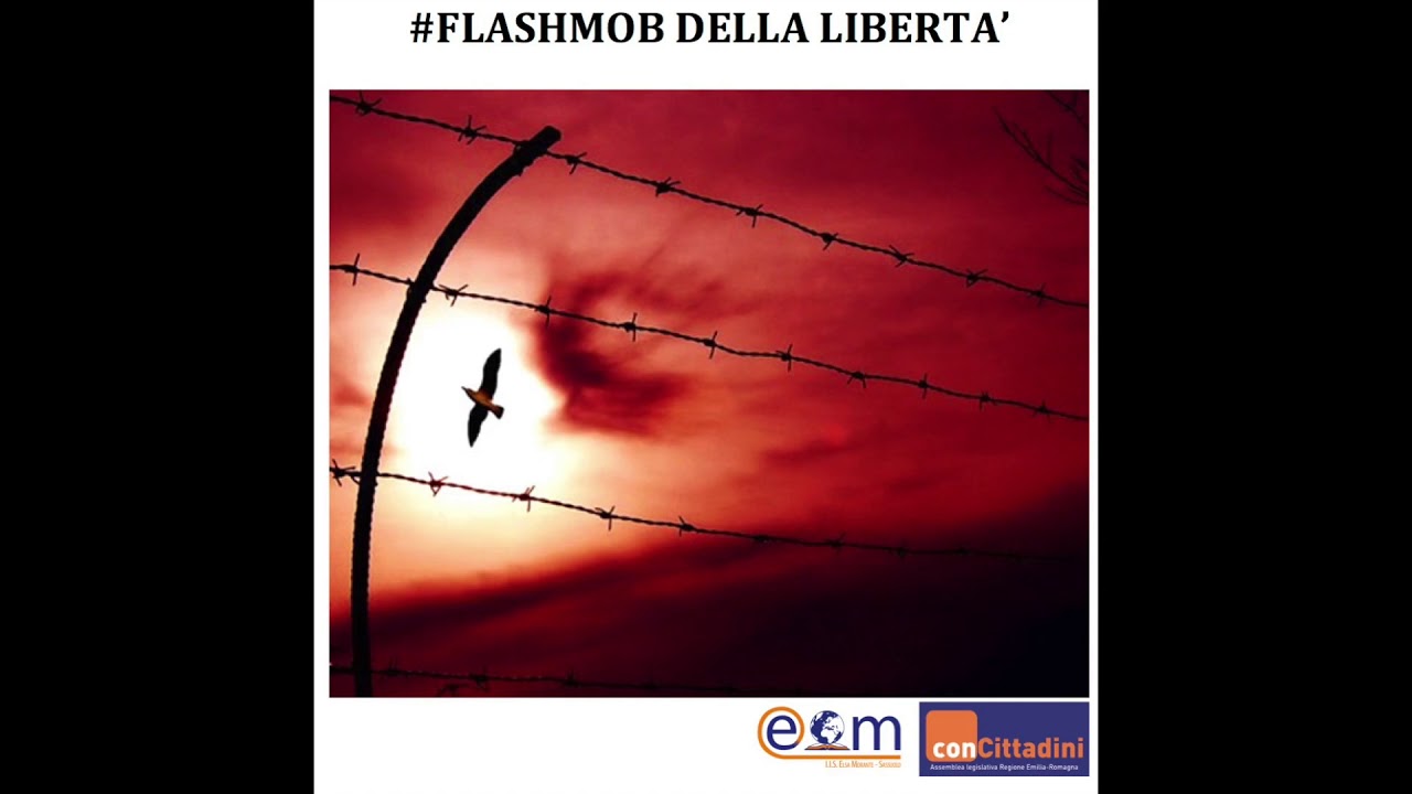 Progetto Concittadini_ #FlashmobLibertà_UDA 