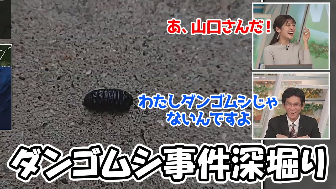 【岡本結子リサ・山口剛央】ダンゴムシ！？のリポートが届きぐっさんにとって忌まわしき思い出を探り出すお天気お姉さん