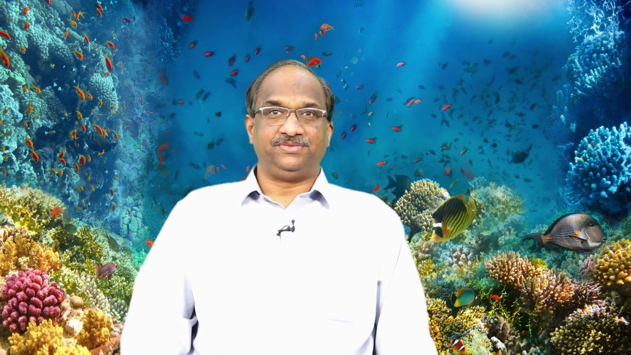 మేక, జేబుదొంగ కథ: మాటలు నమ్మి మోసపోతారా? || STORY TIME-12: Should we believe what we hear? ||