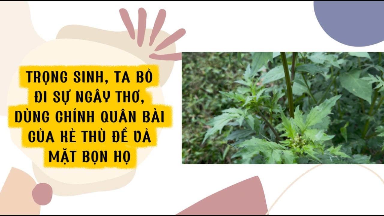 [FULL] TRỌNG SINH, TA BỎ ĐI SỰ NGÂY THƠ, DÙNG CHÍNH QUÂN BÀI CỦA KẺ THÙ ĐỂ VẢ MẶT BỌN HỌ