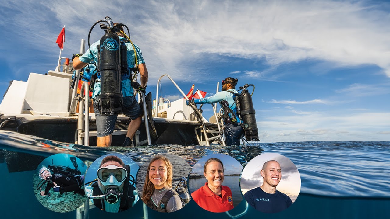 Let's Talk Avelo: Avelo Dive Centers