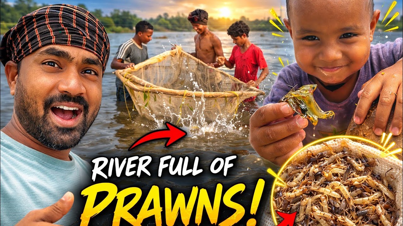River Full of Prawns 😱 | Nadi Re Chingudi Machha Dhara2026