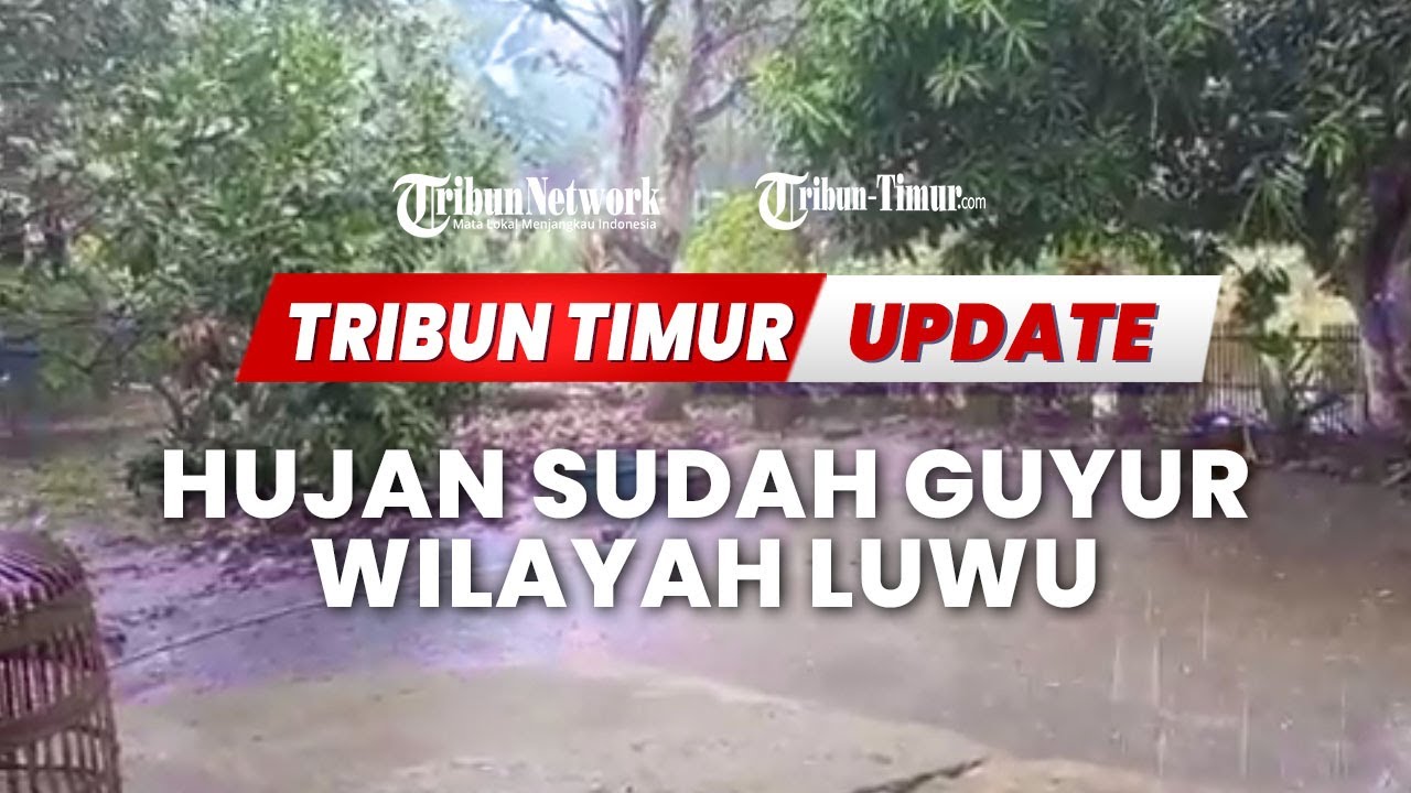 🔴KABAR BAIK! HUJAN SUDAH GUYUR WILAYAH LUWU - TRIBUN TIMUR UPDATE