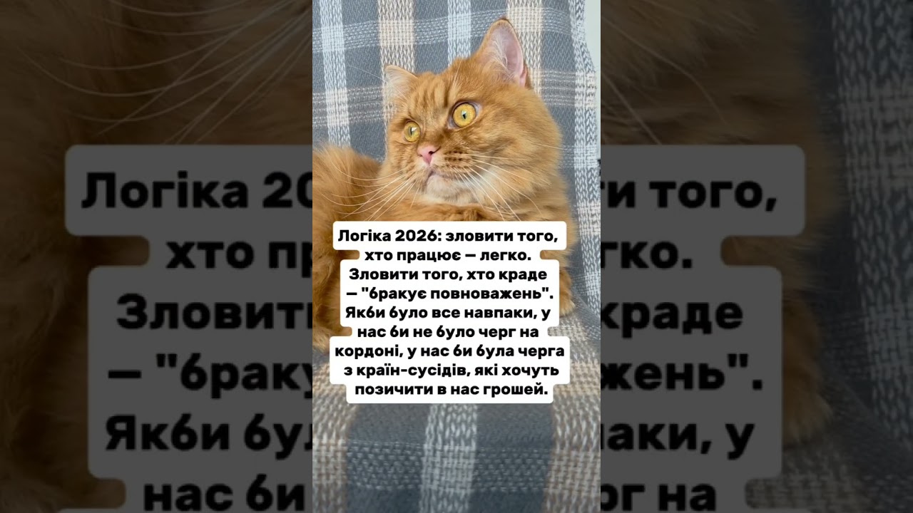 Корупція #війнавукраїні #україна #війнатриває #політика #кітблогер #cat