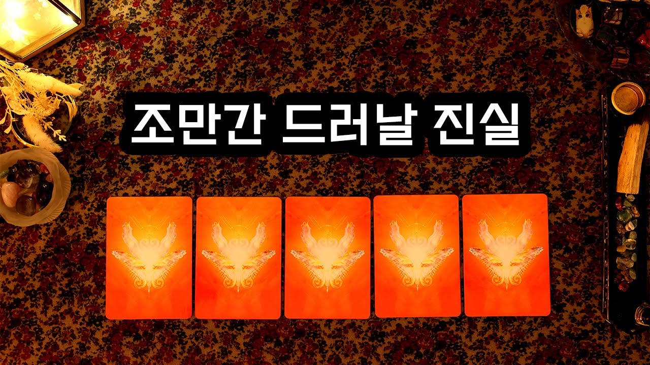 [타로] 조만간 드러날 진실